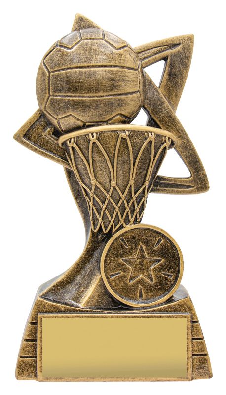 A2391B Netball Spinifex 13.5cm