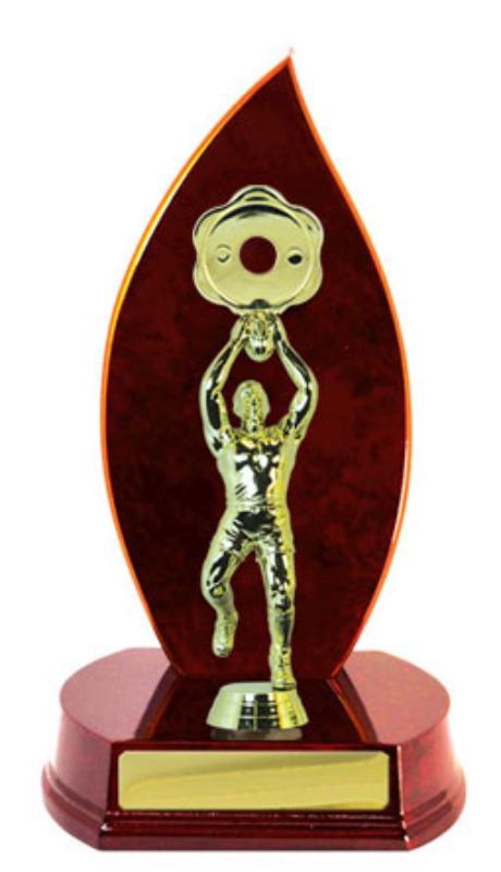 A24-2401CH Timber Buildup Aussie Rules 23cm