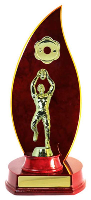 A24-2403CH Timber Buildup Aussie Rules 29cm