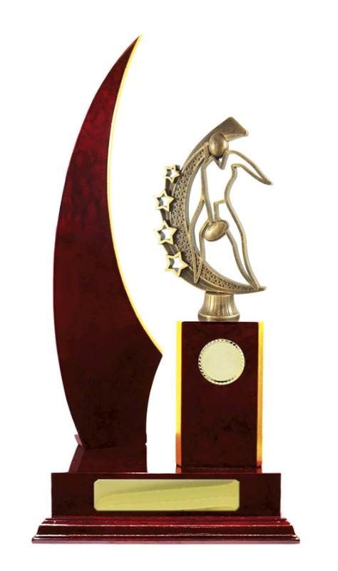 A24-2417CH Timber Buildup Aussie Rules 34.5cm
