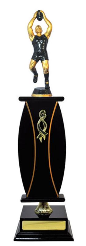 A24-2504 Timber Buildup Aussie Rules 44.3cm