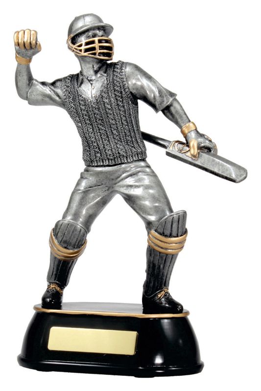 A357C Cricket Celebration 275mm