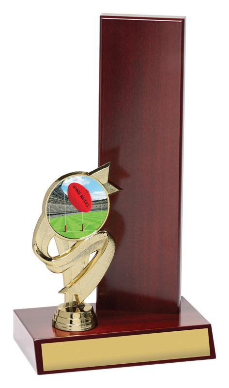 AR4114 Aussie Rules Wing Backstand 27.5cm