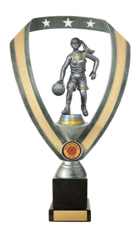 B24-1914 Backstand/Column/Basketball M. 29cm