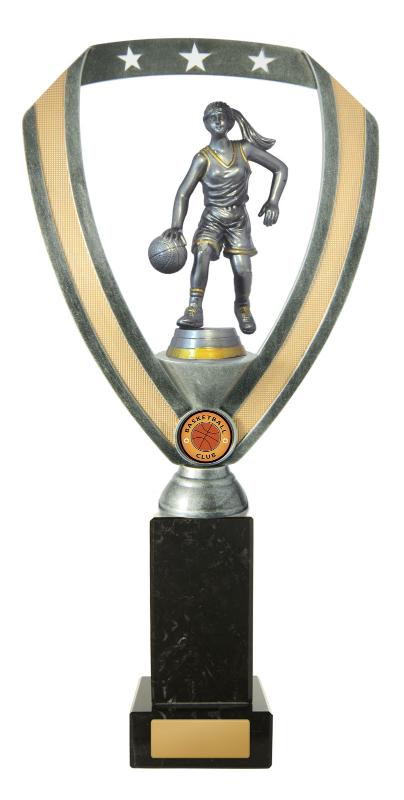 B24-1916 Backstand/Column/Basketball M. 35cm