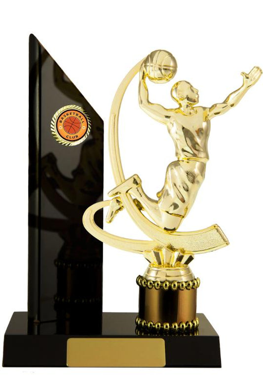 B24-2302DK Timber Buildup Basketball 22cm