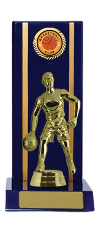B24-2311RB Timber Buildup Basketball 18.5cm