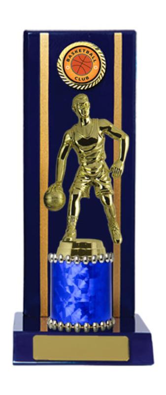 B24-2312RB Timber Buildup Basketball 21cm