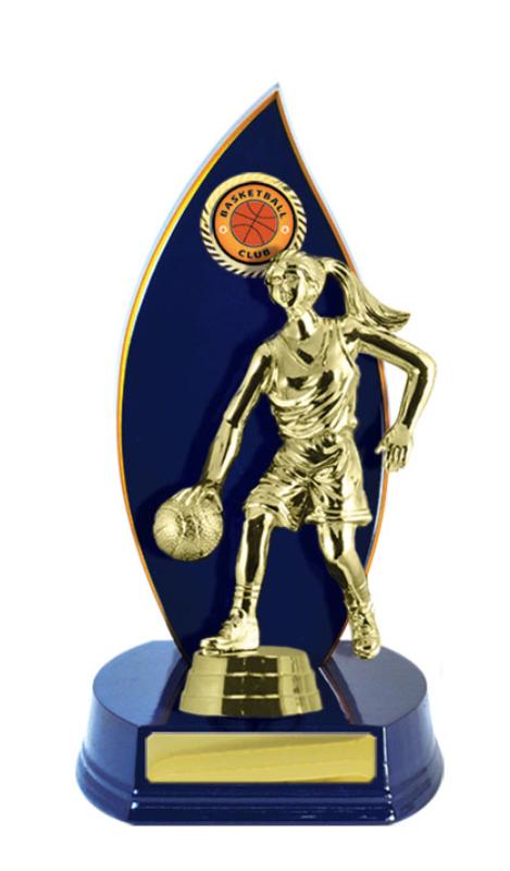 B24-2401RB Timber Buildup Basketball 23cm
