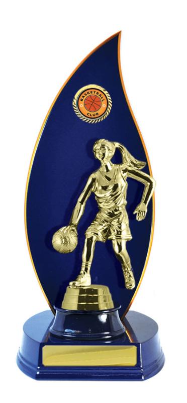 B24-2403RB Timber Buildup Basketball 29cm