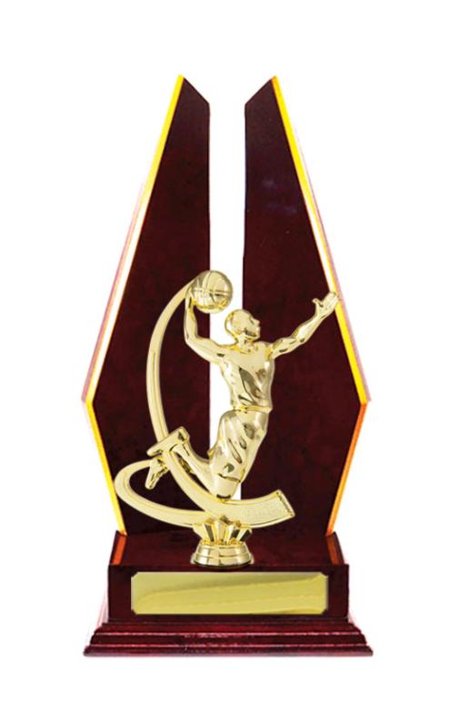B24-2404CH Timber Buildup Basketball 30.5cm