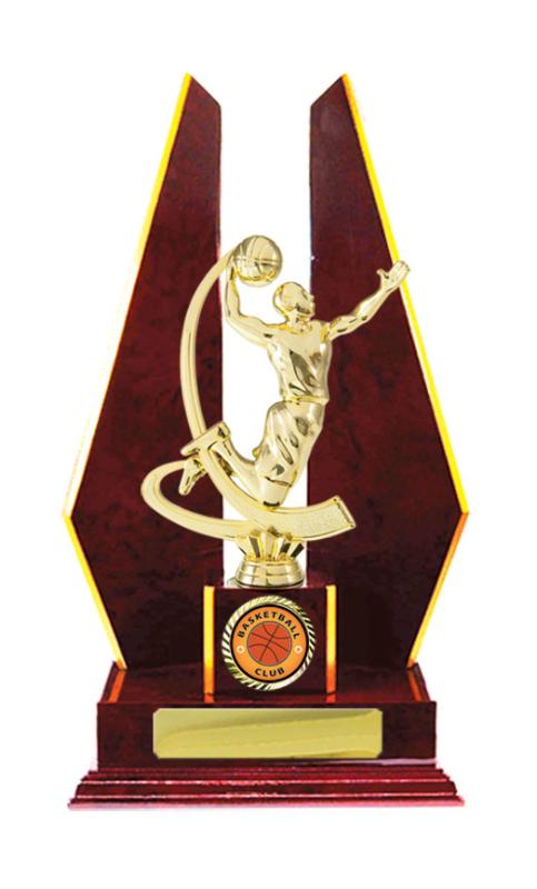 B24-2405CH Timber Buildup Basketball 33.5cm