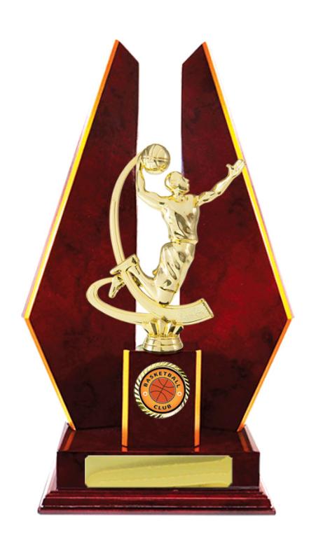 B24-2406CH Timber Buildup Basketball 36.5cm