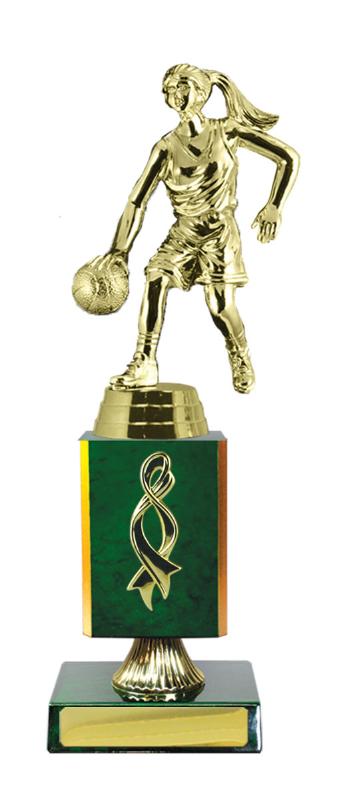 B24-2510GN Timber Buildup Basketball 25.2cm