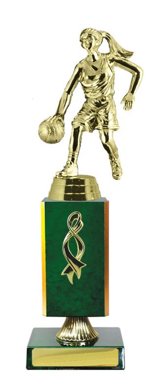 B24-2511GN Timber Buildup Basketball 27.7cm