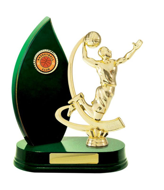 B24-2513GN Timber Buildup Basketball 23cm