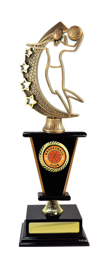 B24-2608 Timber Buildup Basketball 32.5cm