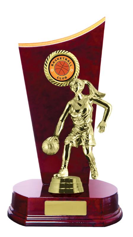 B24-2612CH Timber Buildup Basketball 23cm
