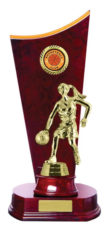 B24-2614CH Timber Buildup Basketball 29cm
