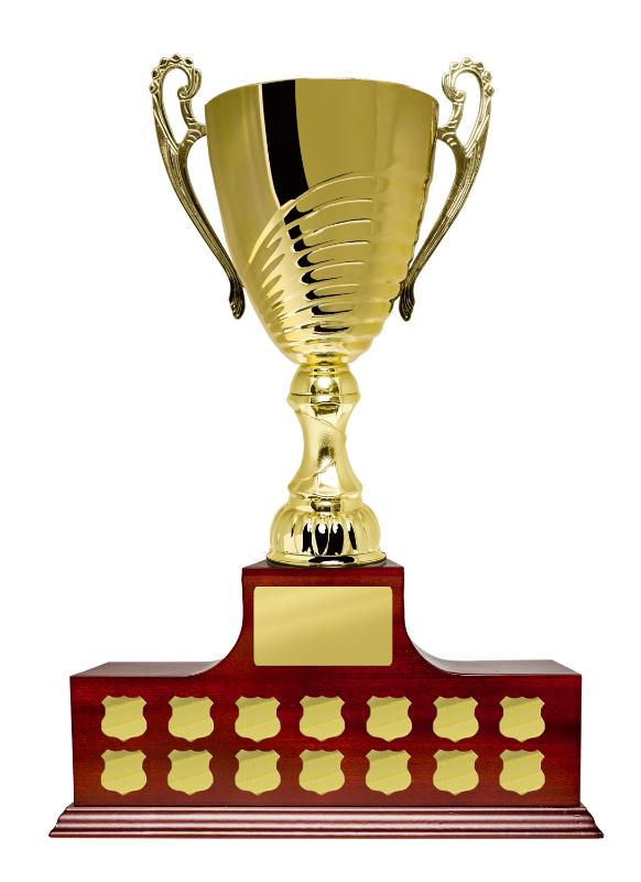 B24-2810 Cup on Perpetual Base 46cm