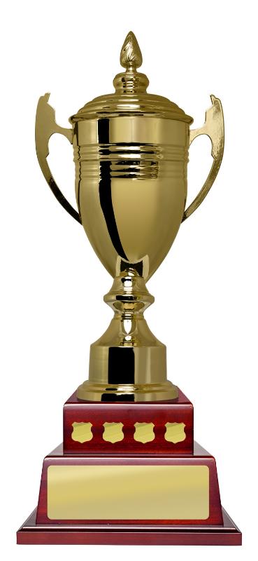 B24-2811 Cup on Perpetual Base 55cm