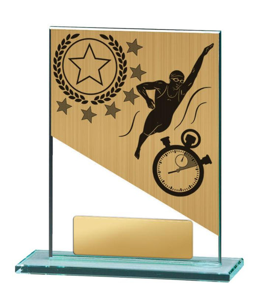 BG01A-PS2A Swimming Theme on Glass 13cm