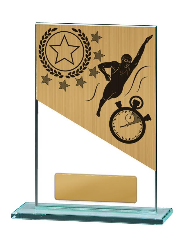 BG01B-PS2A Swimming Theme on Glass 15cm
