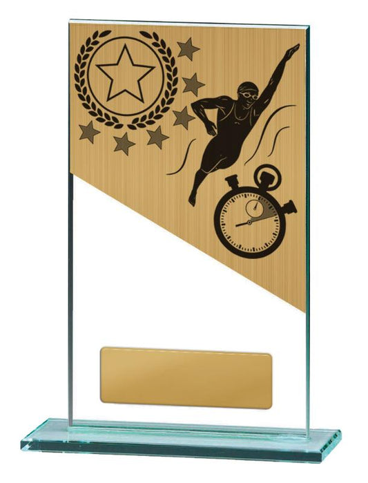 BG01C-PS2A Swimming Theme on Glass 17cm