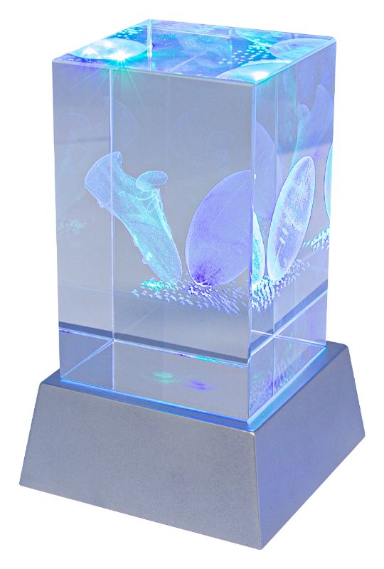 CBLH813 Rugby Light Up Crystal 11cm