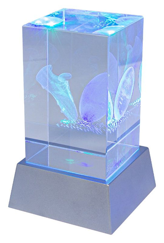 CBLH813 Rugby Light Up Crystal 11cm