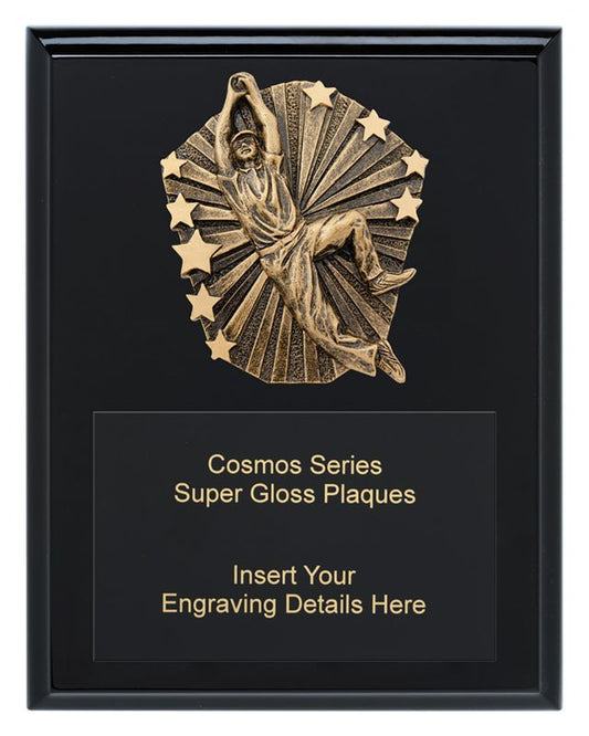 CRK710C Cosmos Super Plaque Male Fielding 250mm