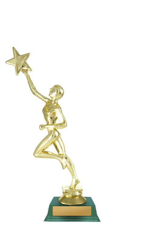 D24-5208 Star fem. 20cm