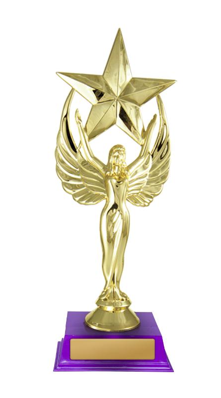 D24-5306 Angel Star 20cm