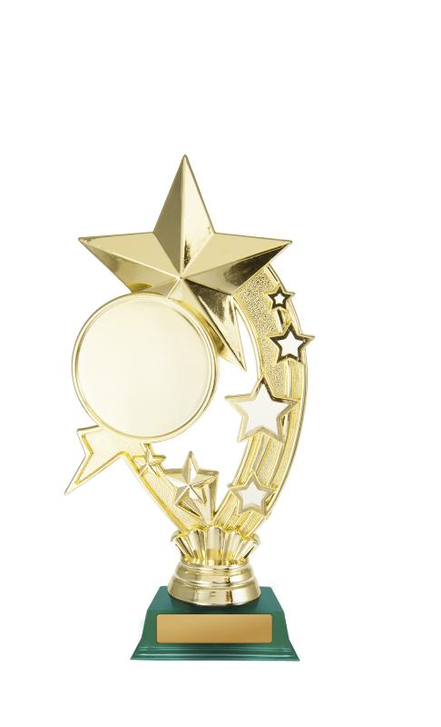 D24-5313 Star 19cm