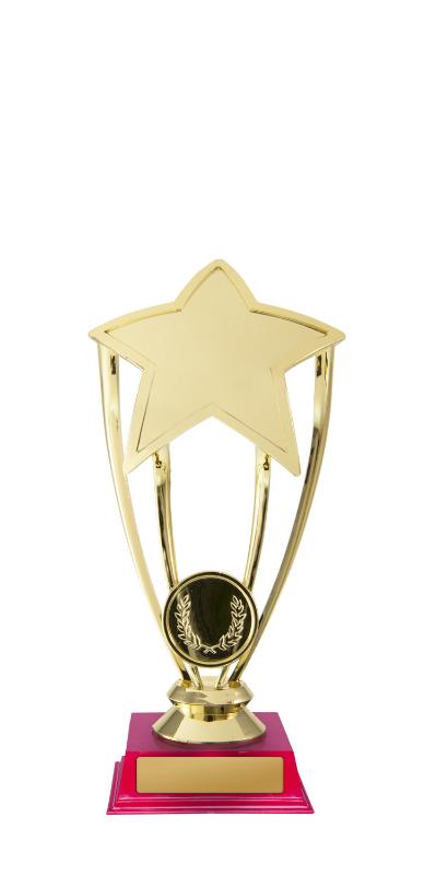 D24-5314 Star 16.5cm