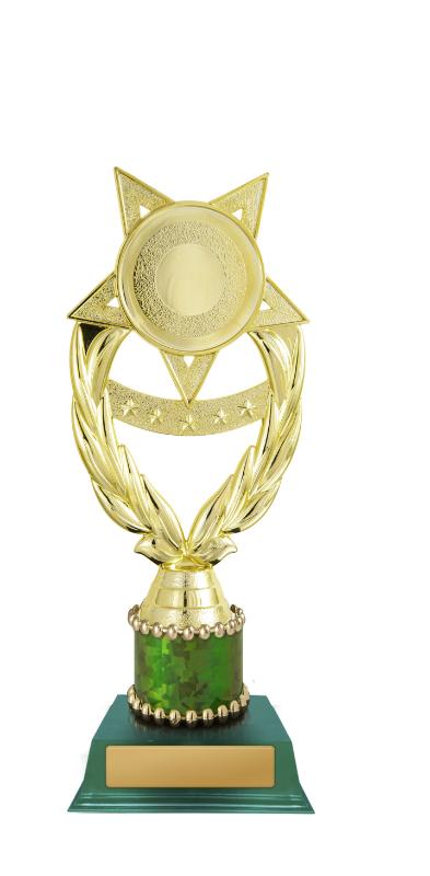 D24-5404 Star Holder 21.5cm