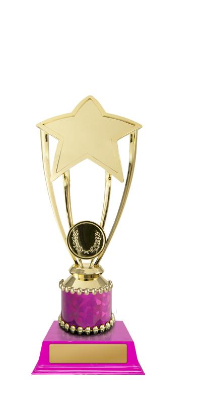 D24-5405 Star Holder 19.5cm