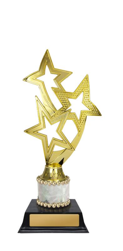 D24-5501 Shooting Stars 21cm