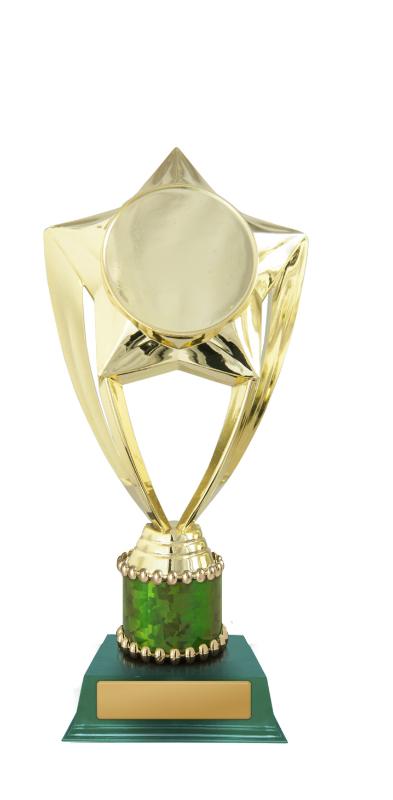D24-5504 Star Holder 21.5cm