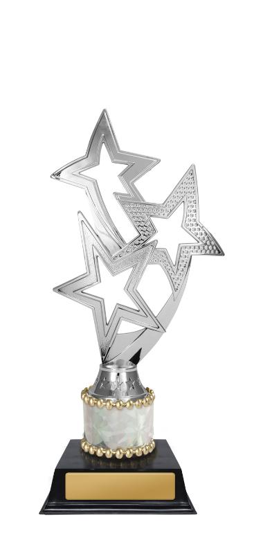 D24-5506 Shooting Stars 21cm