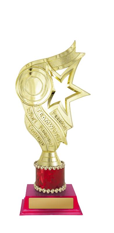 D24-5508 Star Holder 20cm
