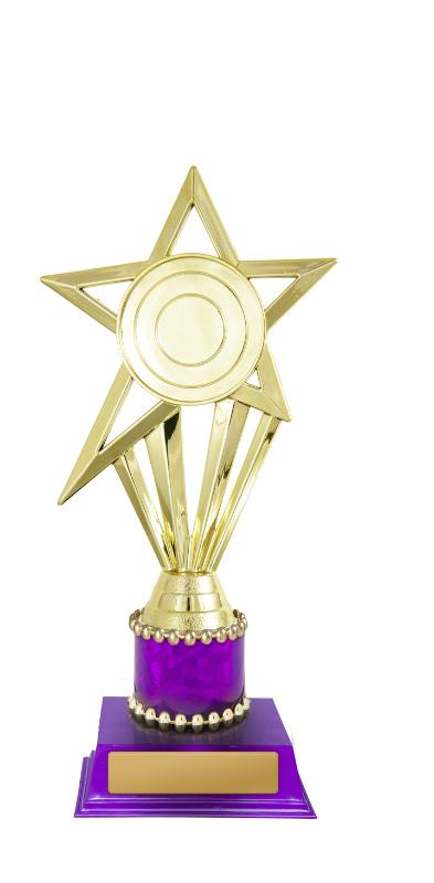 D24-5510 Star Holder 21.5cm