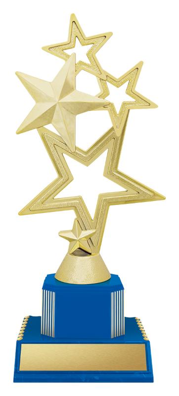 DF4416 Achievement 5 Star 21.5cm