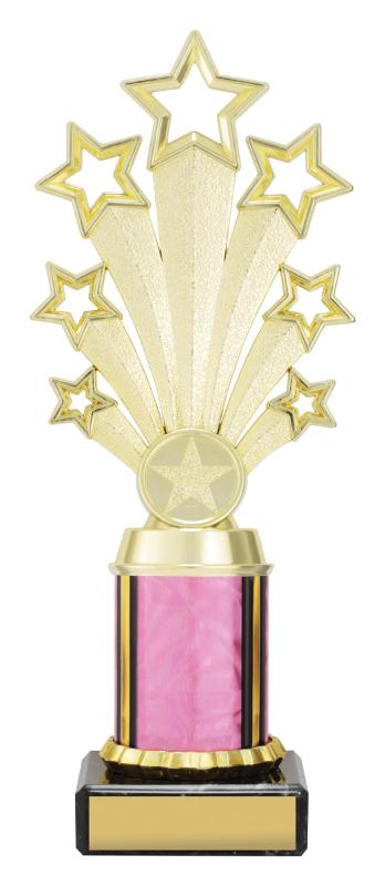 DF4678 Dance Pink Fanfare 23cm