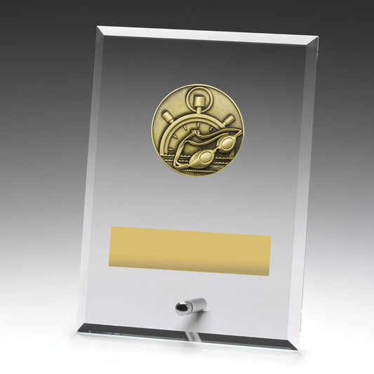 DY102B Glass Plaque Swim 175mm