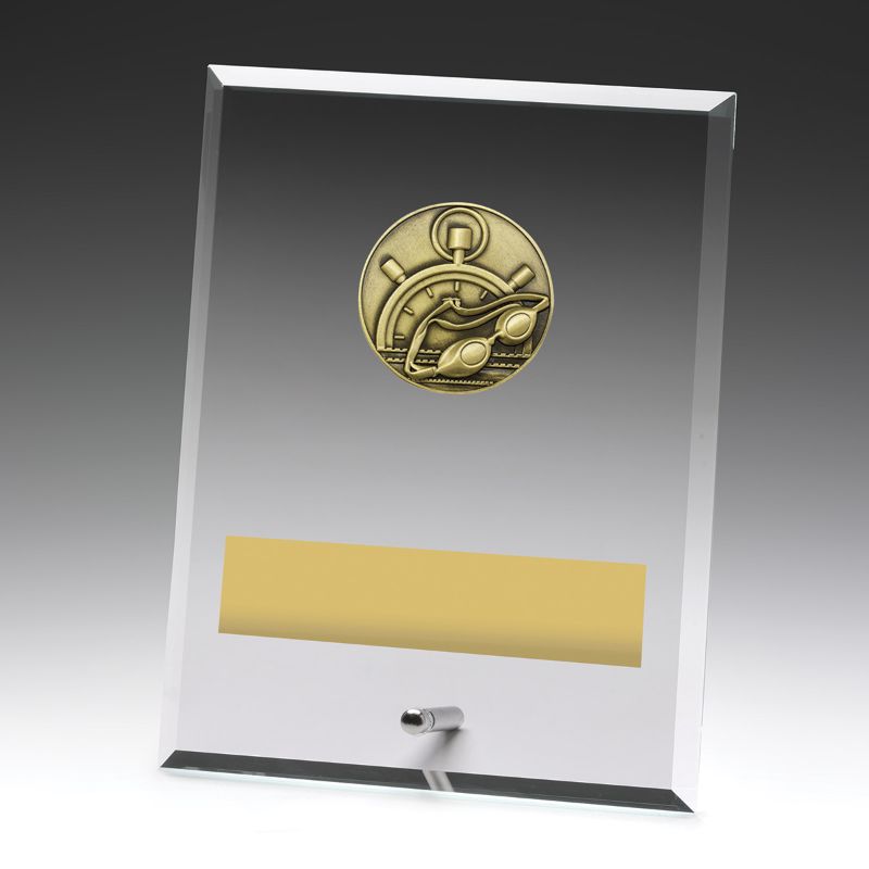 DY102C Glass Plaque Swim 200mm