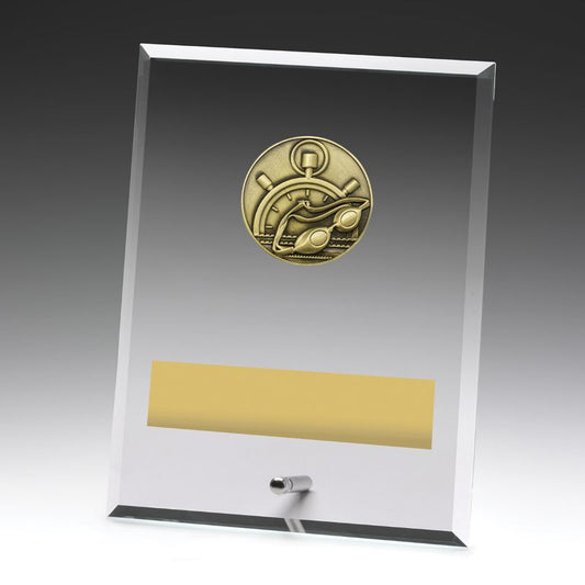 DY102C Glass Plaque Swim 200mm