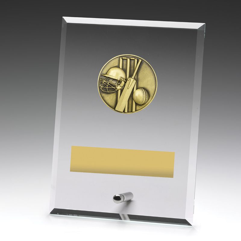 DY140B Glass Plaque Cricket 175mm