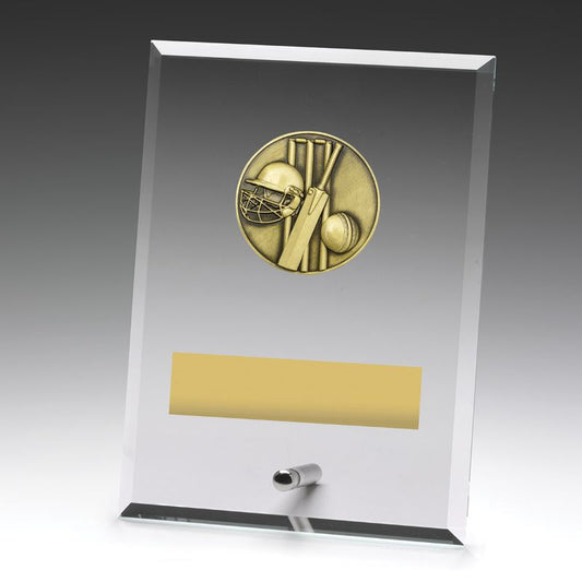 DY140B Glass Plaque Cricket 175mm