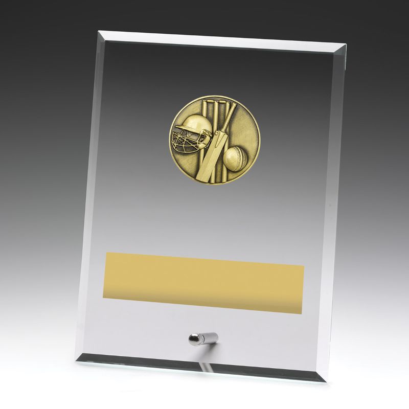 DY140C Glass Plaque Cricket 200mm